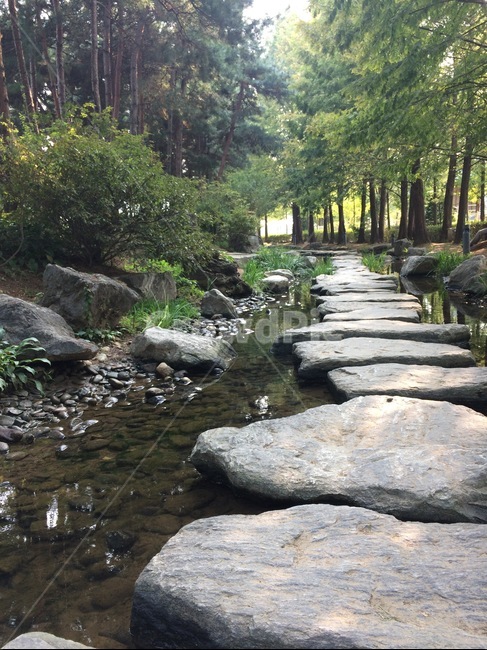 징검다리,자연,나무,봄,여름,자연주의,휴식,맑음,stepping,stone,바위,물,강가,숲,숲속,산책,아침,morning,walk,goout,풍경,초록,korea,park,green,tree
