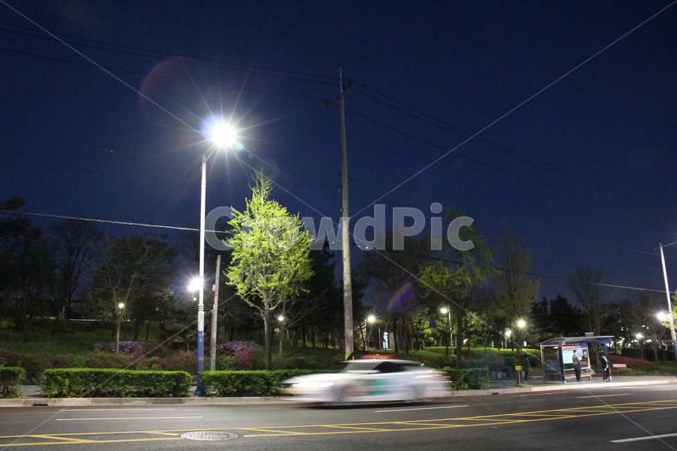 밤,야경,가로등,불빛,나무,도로,지나가는,자동차,night,nightview,streetlamp,light,tree,road,car,야경,밤,풍경,nightscape,night,landscape,vehicle,차량,automobile,차,transportation,교통