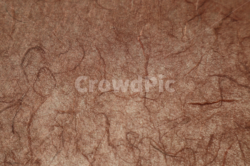 한지,배경,background,카피공간,갈색종이,질감,거친,공란,패턴,pattern,연속무늬,고풍스런,클로즈업,섬유,수제종이,brown,브라운,색감,갈색,배경지,한국전통,한국문화,korean traditional,korean culture,텍스처,질감,패턴,texture,pattern