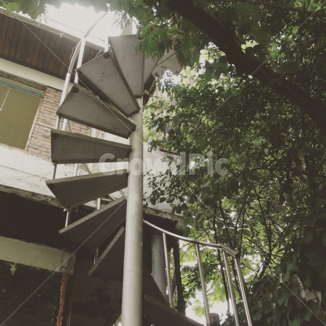 녹음,여름,나무,나선형계단,매력,감성,sensible,feeling,건축물,건물외관,exterior,building,structure,architecture,construction
