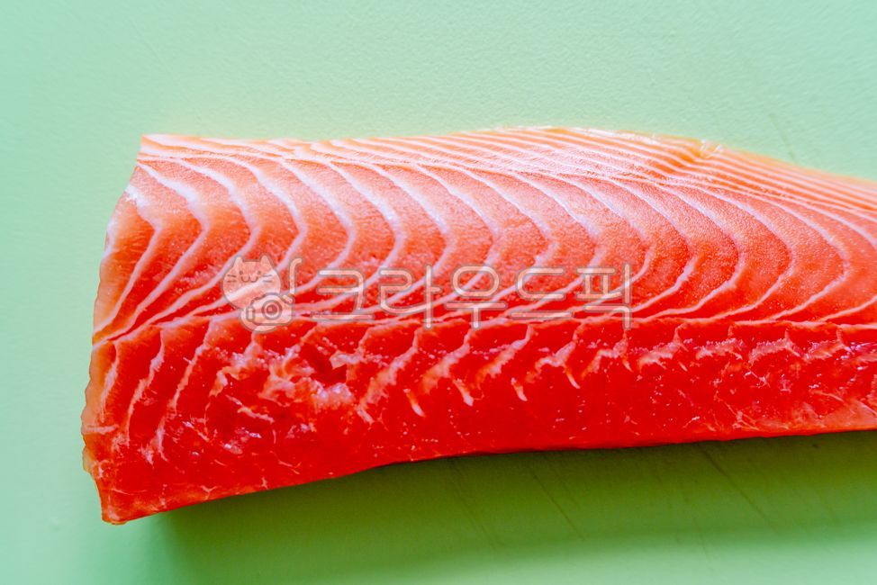 food,음식,연어,연어회,수산물,seafood,해물