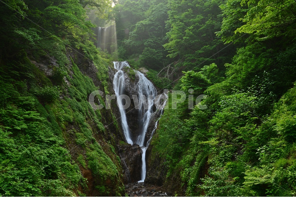 nature,자연,outdoors,옥외,water,물,waterfall,폭포,울릉도,봉래폭포,이끼계곡,경치,경관,비경,풍경,자연,풍경,nature,landscape