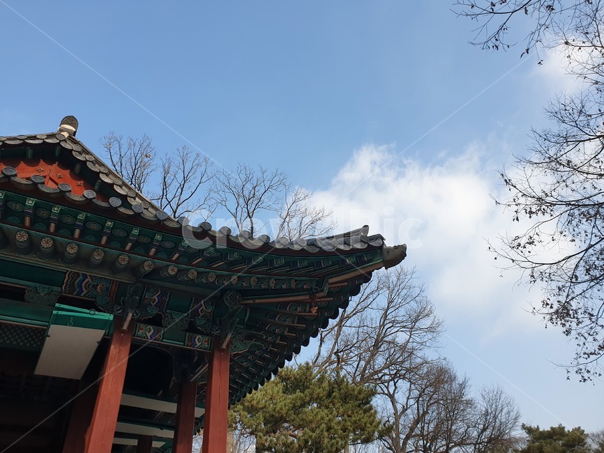 창덕궁,창덕궁후원,하늘,겨울,기와지붕,건물,한국,전통,궁,전통건물,겨울하늘,풍경,architecture