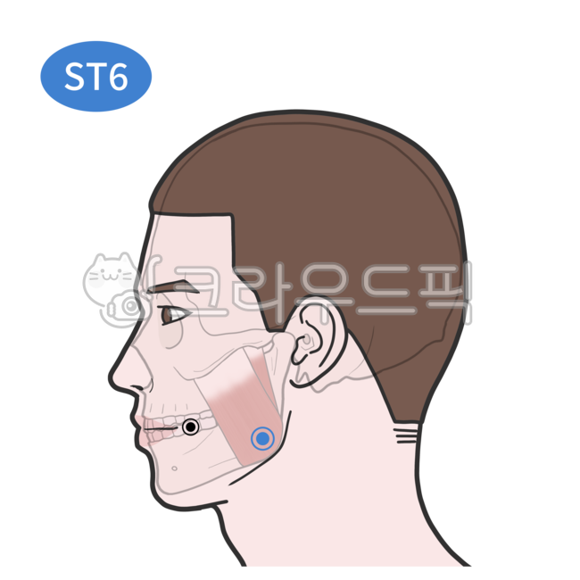 경혈, 혈자리, 침구학, 경혈학, 경락, 사진,이미지,일러스트,캘리그라피 - Nchuccida작가
