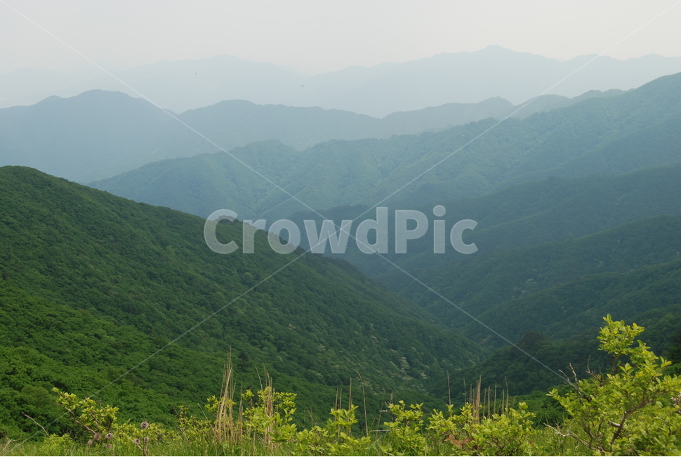 산,mountain,tree,nature,trail,등산로,자연,풍경,nature,landscape,한국자연풍경,한국자연경관,korea nature landscape,slope,경사,outdoors,옥외,mountain range,산맥