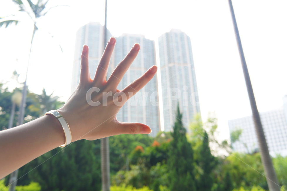 손,빛,손등,손가락,햇빛,여자손,팔찌,사람,인물,인간,human,person,신체일부,몸,body