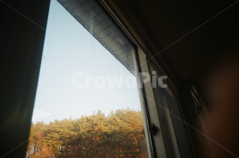 창문,나무,하늘,유리,window