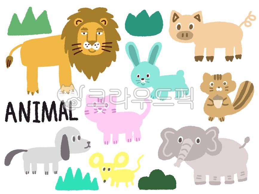 Animals,hand-drawn,illustrations,lions,elephants,dogs,cats,rabbits,pigs,rats