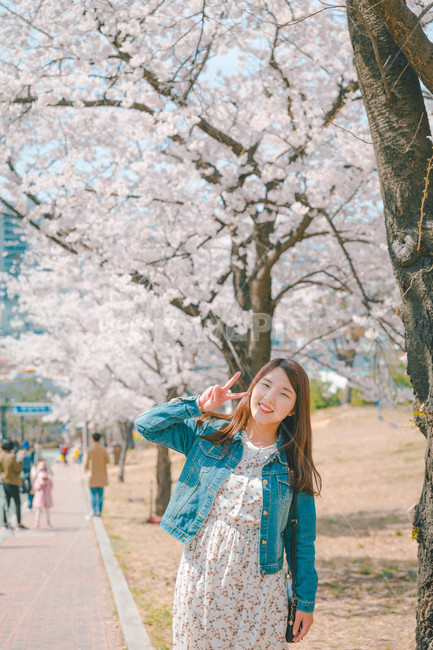 여자,벚꽃,봄,flower,cheeryblossom,blossom,portrait