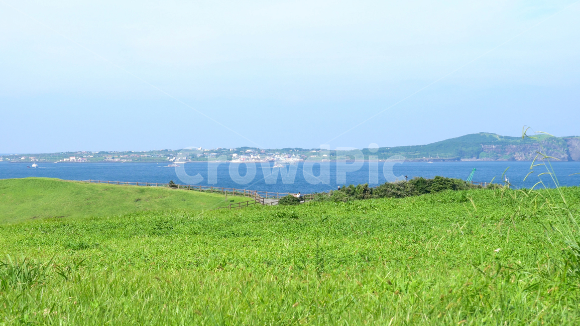 여름,자연,풀,풍경,배경,자연,풍경,nature,landscape,field,들,outdoors,옥외,grassland,목초지,rural,농촌,farm,농장