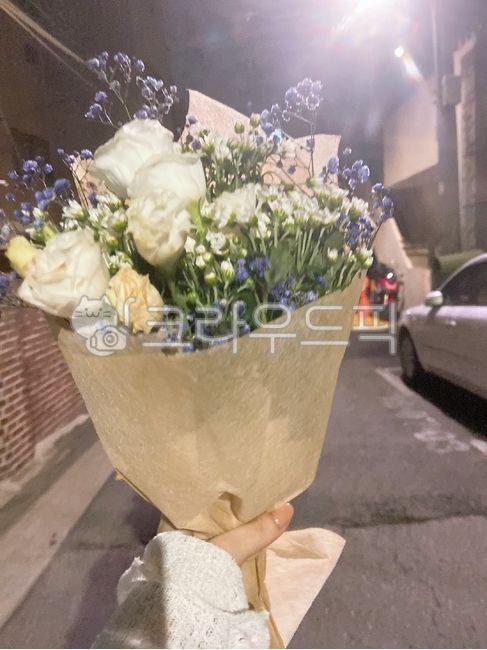 꽃다발,데이트,가로등,장미,plant,식물,꽃,flowerbouquet,flowerarrangement