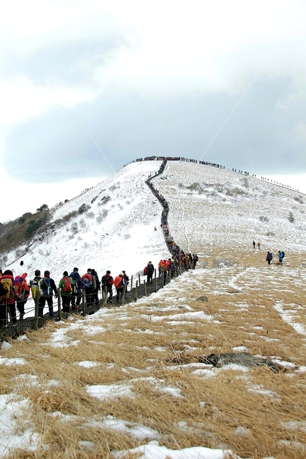 풍경,겨울,소백산,설경,등산,겨울,계절,winter,season,자연,풍경,nature,landscape,사람들,대중,군중,other people,crowd,outdoors,옥외,slope,경사
