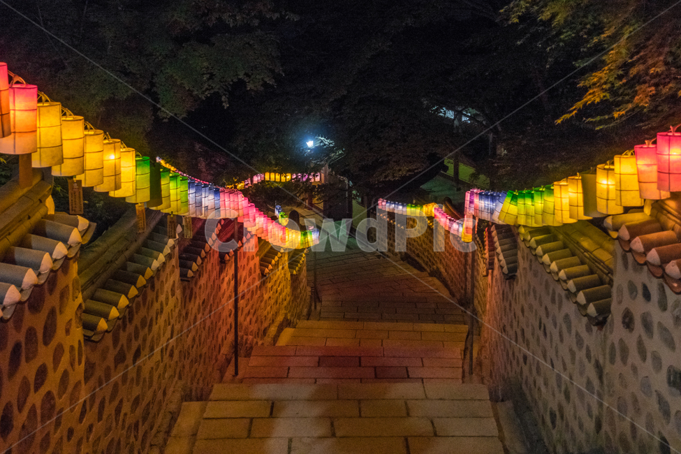 walkway,path,통로,flagstone,판석,sidewalk,보도,pavement,포장,연등,축제,연등축제,절,temple,야경,밤,풍경,nightscape,night,landscape,한국전통,한국문화,korean traditional,korean culture