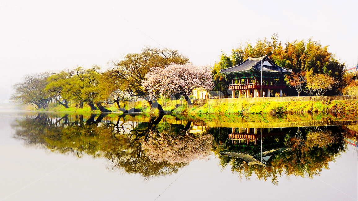 전남,자연,옥외,outdoors,화순,능주,영벽정,영벽정벚꽃,반영,영벽정반영