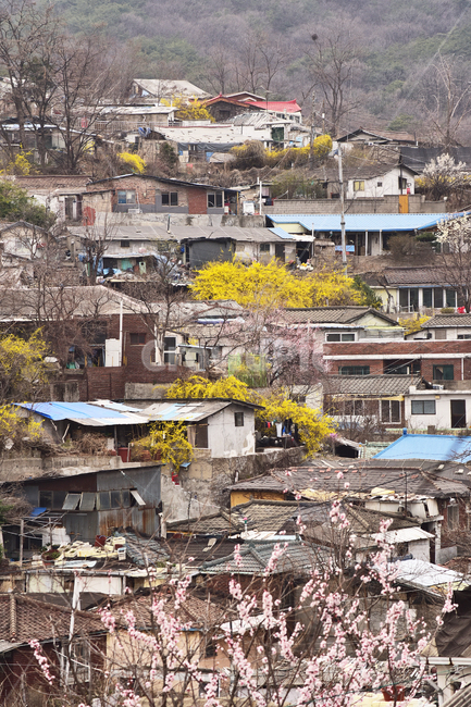 달동네,봄배경,봄꽃,산동네,빈티지,마을,동네,촌락,village,outdoor,배경,바탕,백그라운드,건축물,집,하우스,가난한,poor,vintage,야외,옥외,아웃도어,poorhillsidevillage,변두리,외곽지대,재개발,언덕위,건물,slum,building,계절,시즌,season,spring,봄,계절,spring,season