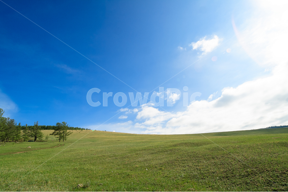 초원,몽고,하늘,구름,언덕,평원,목장,몽골리아,자연,풍경,nature,landscape,outdoors,옥외,field,들,grassland,목초지,grass,잔디,plant,식물