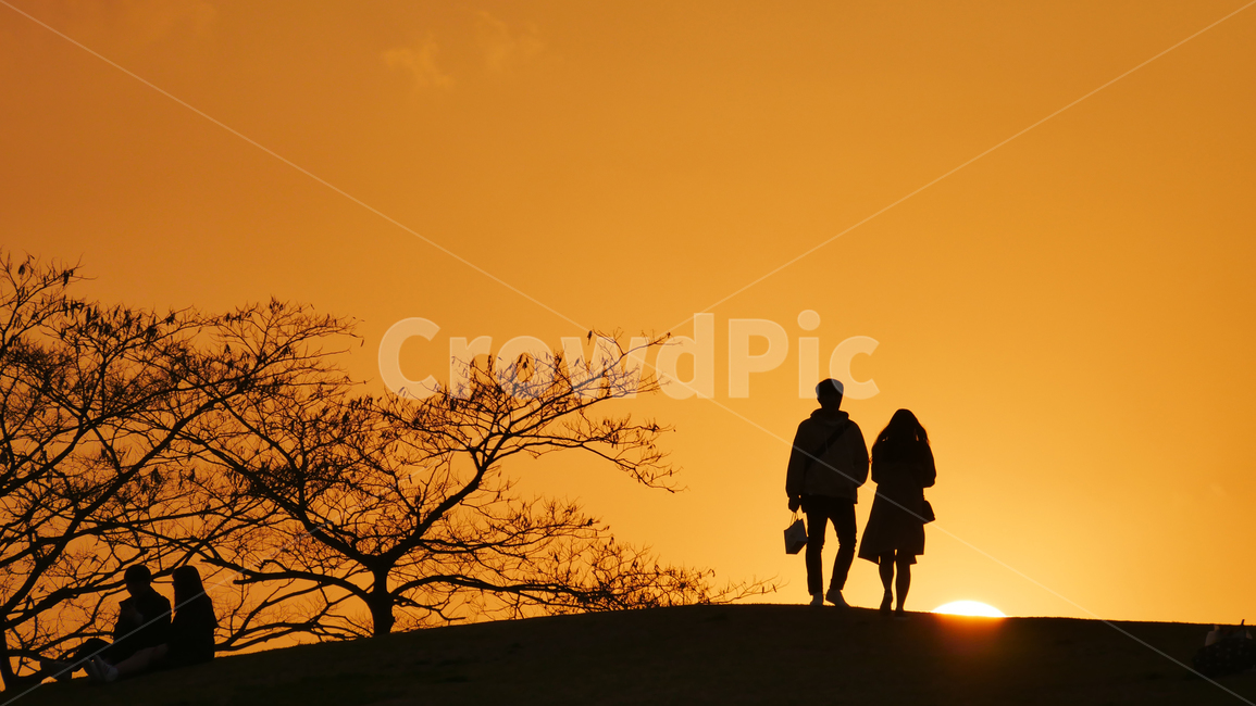 올림픽공원,커플,남자,여자,일몰,역광,보케,human,인간,person,사람,outdoors,옥외,silhouette,실루엣,연인,감성,인물실루엣,사람실루엣,character silhouette,human silhouette