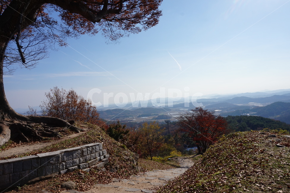 가을,단풍,단풍나무,하늘,가을전경,산성,성곽,부여,백제,가을정취,햇살,나무,낙엽