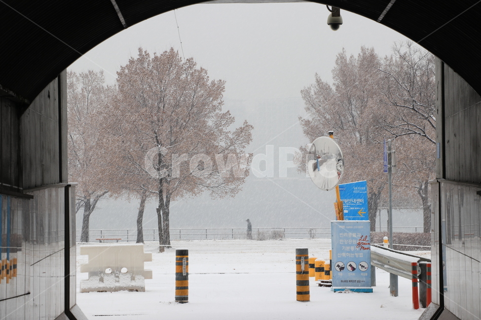 눈,겨울,한강,snow,winter,hanriver,겨울,계절,winter,season,자연,풍경,nature,landscape,outdoors,옥외,blizzard,눈보라,storm,폭풍