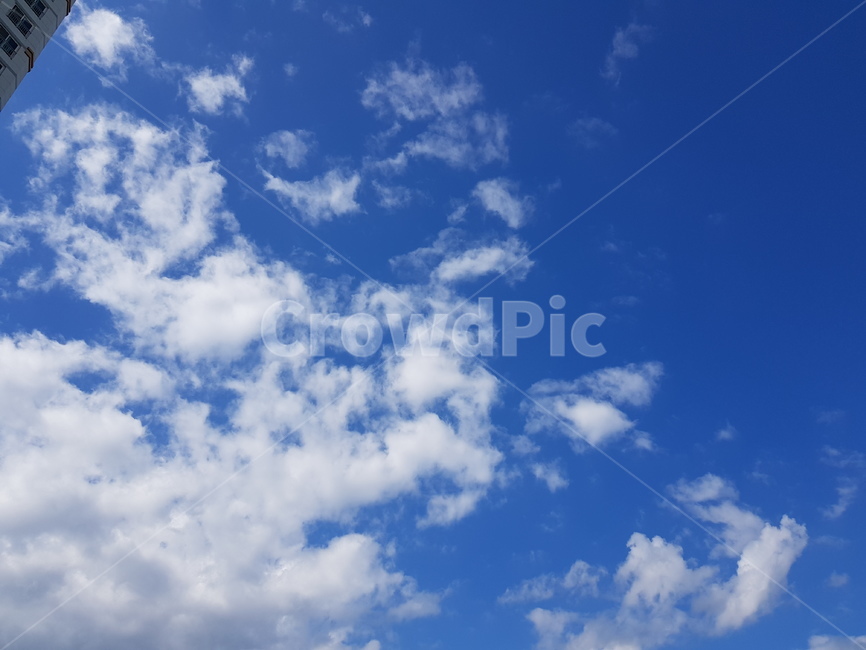구름,하늘,파란하늘,뭉게구름,특이한구름,푸른하늘,파란,special,cloud,sky