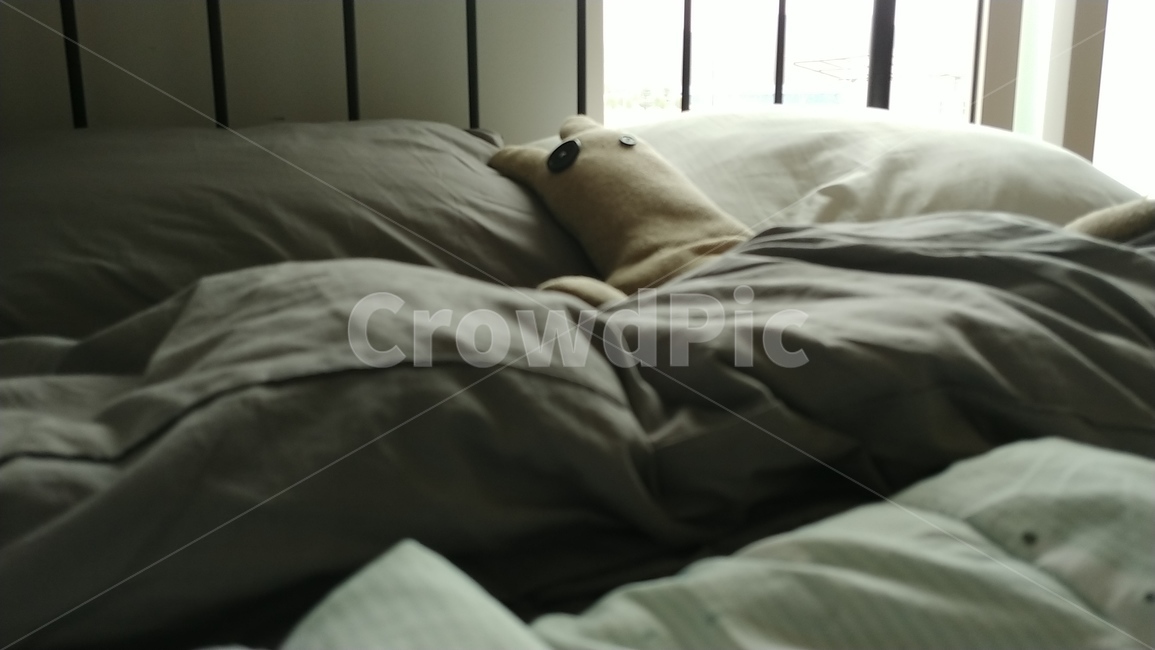 인형,이불,나른한,침대,철제,오전,실내,휴식,힐링,rest,relaxation,healing