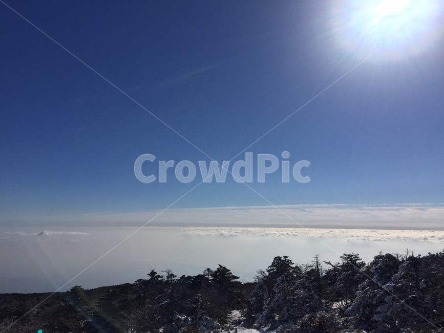 한라산,태양,햇빛,하늘,구름,sky,nature,outdoors,자연,옥외,tree,나무,plant,식물,자연,풍경,nature,landscape
