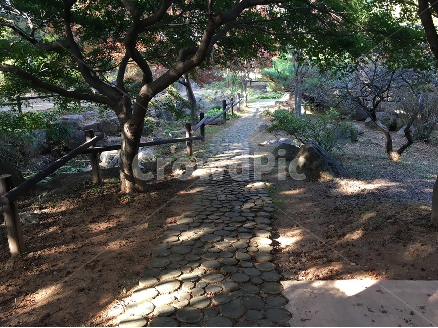 여행,힐링,자연,풍경,나무,자연,풍경,nature,landscape,walkway,보도,path,통로,flagstone,판석