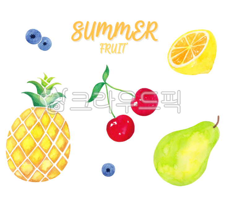 food,fruit,과일,citrusfruit,감귤류과일,orange,주황색,grapefruit,그레이프프루트,블랙베리,파인애플,레몬,라임,체리,여름과일,계절,시즌,일러스트,수작업,수채화,배경,열대,트로피컬,열대식물,열대과일,음식,자연,cherry,pineapple,lemon,lime,blueberries,블루베리,summer,여름