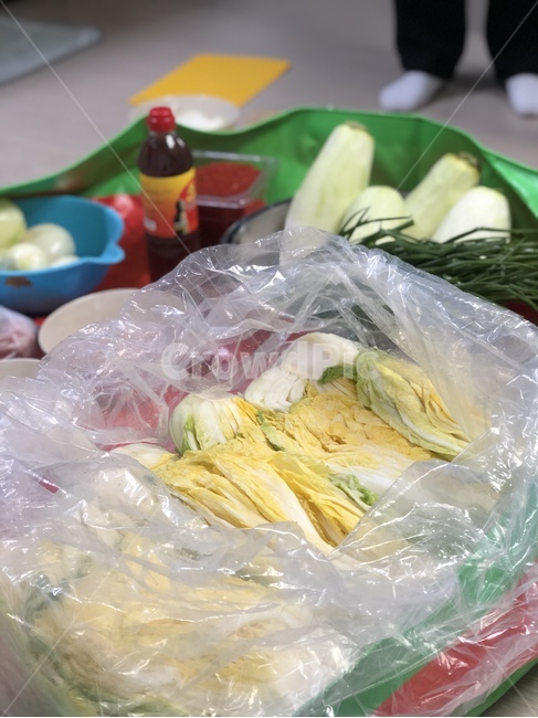 김장,김치,배추,겉절이,무,음식,식재료,요리,food,cook,meal,dishes,food reserves,채소,야채,vegetables