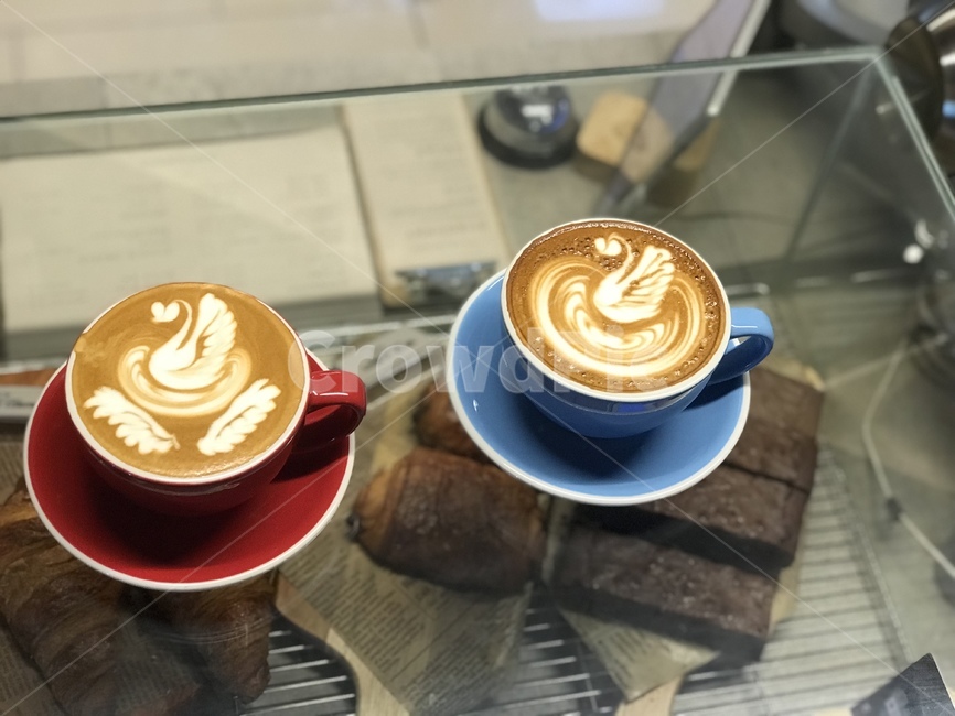 커피,라떼아트,커피아트,백조,카페라떼,coffee,latteart,coffeeart,swan,cafelatte,음료수,drink,beverage,커피,카페,coffee,cafe
