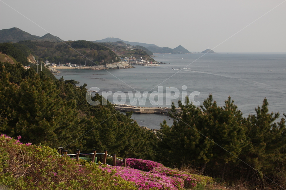 바다,항구,동해,풍경,철쭉,산,sea,port,eastsea,scenery
