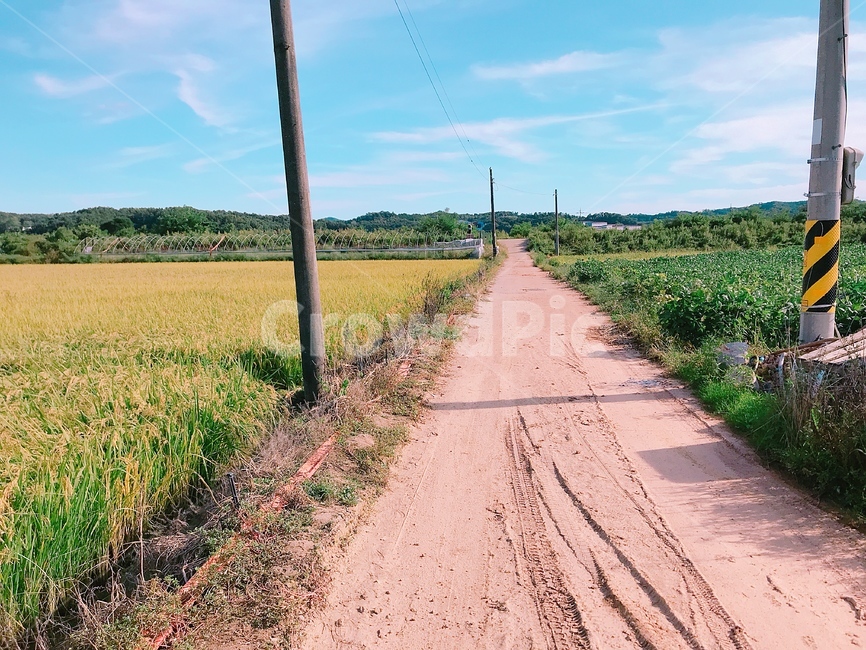 시골,농촌,시골길,농사,밭,자연,풍경,nature,landscape