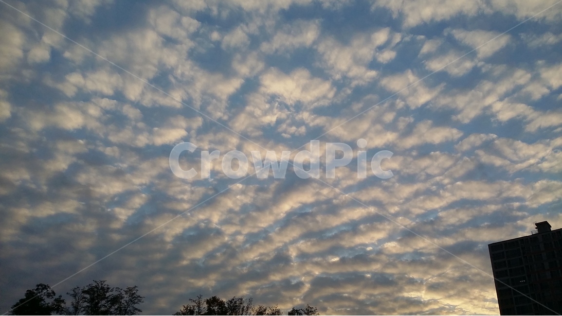 구름,하늘,풍경,sky,경치,자연,풍경,nature,landscape,outdoors,옥외,cloud,weather,날씨,cumulus,적운