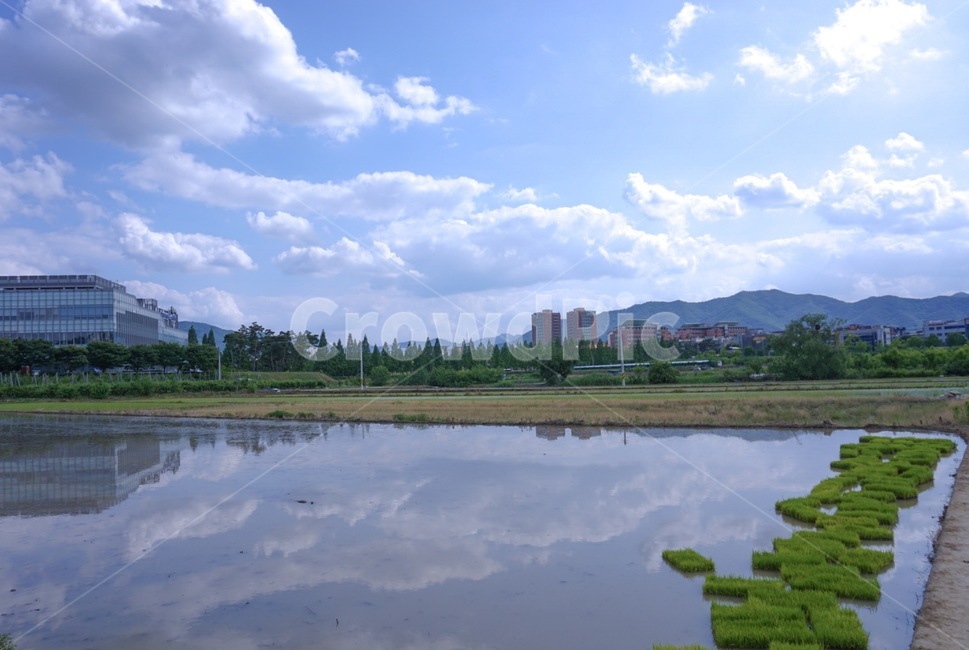 하늘,구름,구름많음,맑은날씨,자연,자연친화적,sky,파란색