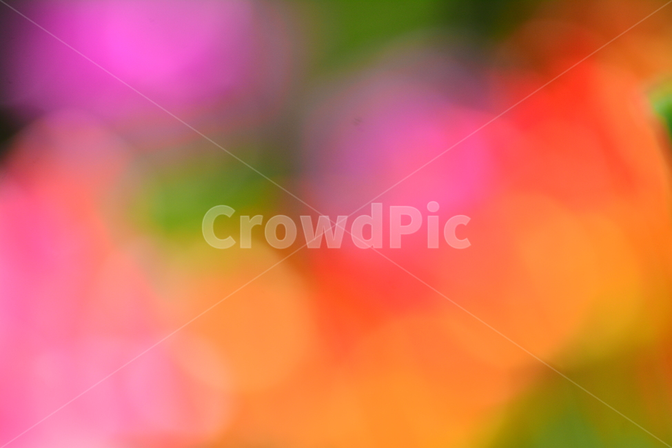 봄,봄이미지,꽃,봄꽃,배경,바탕화면,백그라운드,아웃포커스,배경화면,색감,칼라풀,colorful,flowers,background,몽환적,dreamy,꿈,아름다운,뷰티풀,카다로그,광고,디자인소스,그래픽소스,beautifulcolor,채도,색상,pink,분홍색,파스텔톤,노랑,보라,퍼플,purple,violet,yellow,red,빨강,녹색,그린,감성,필,느낌,feeling,emotion,sensibility,봄,계절,spring,season,감성,sensible,feeling,색깔,색상,색채,색감,color sense,color sensitivity,feeling of color