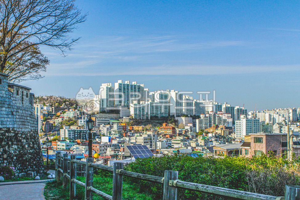 서울,공원,낙산공원,한양도성,서울성곽,산책,산책길,자연,옥외,지붕,건물,고층건물,산,도시,시티,나무,돌벽,nature,outdoors,roof,building,highrise,mountain,urban,city,railing,tree,stonewall