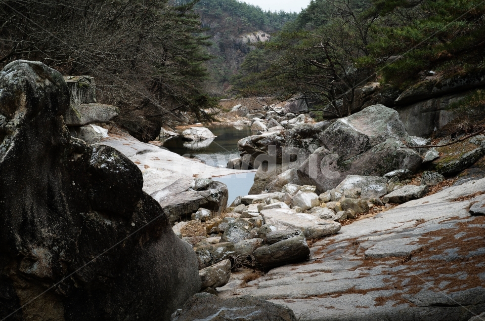 계곡,자연,풍경,괴산,선유구곡,자연,풍경,nature,landscape,water,물,outdoors,옥외,stream,흐름,creek,작은 만
