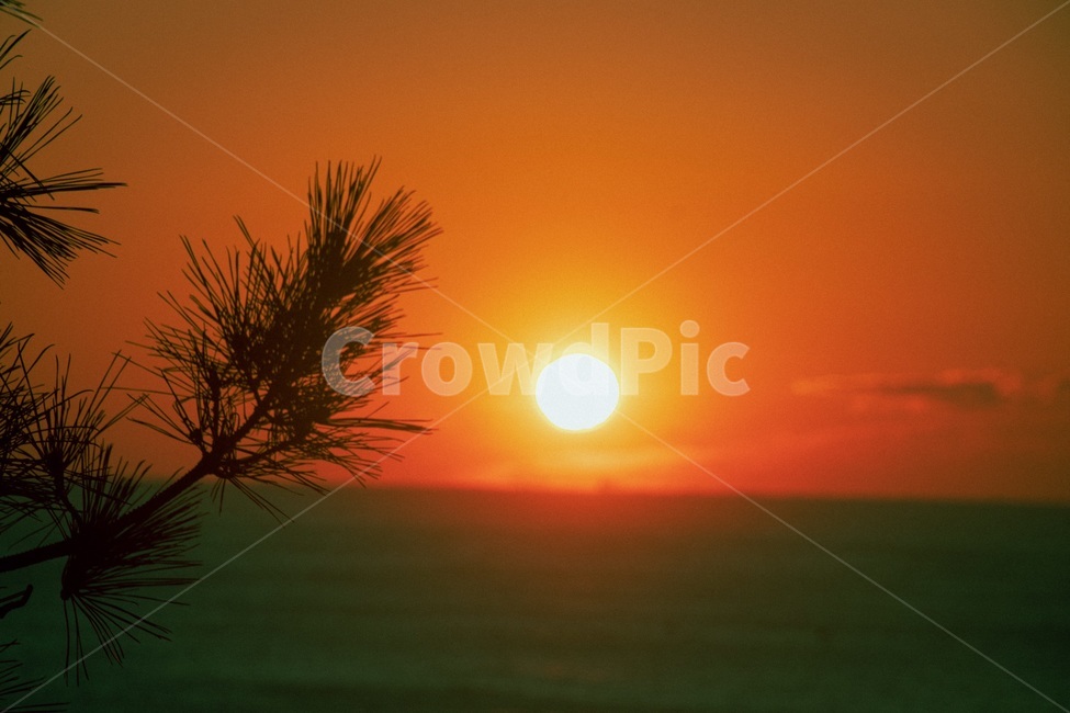새해,해돋이,바다,새벽,하늘,태양,자연,황혼,nature,dawn,sky,일몰,redsky,붉은하늘,sunset,자연,풍경,nature,landscape,새해,new year