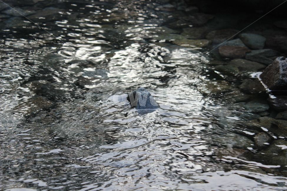 자연,여름,계곡,물,돌,분위기,배경,시골,summer,water