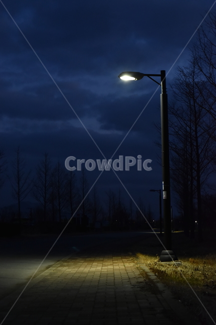 사상구,삼락공원,도로,산책로,새벽,야경,밤,풍경,nightscape,night,landscape,lamp post,램프 포스트