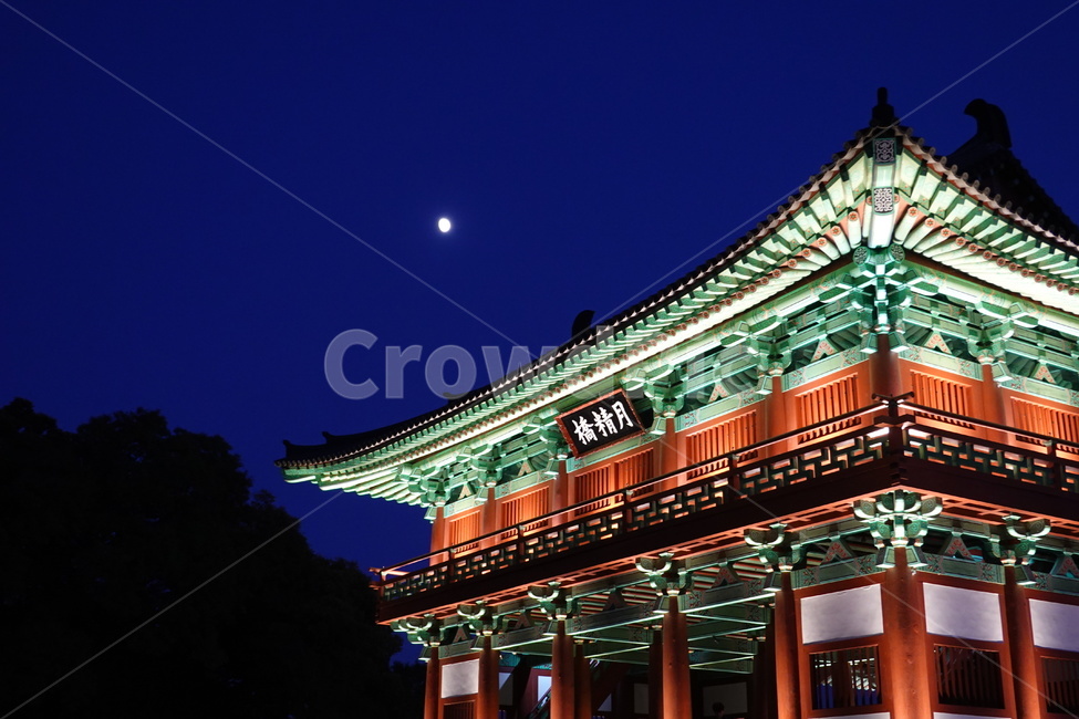 월정교,달,빛,전통,달밤,야경,밤,풍경,nightscape,night,landscape,랜드마크,landmark,tourist attraction,한국랜드마크,한국관광지,한국명소,korea landmark,korea tourist attraction