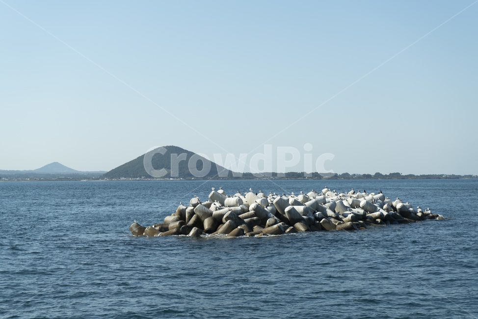 자연,산,갈매기,섬,방파제,바다,물,하늘,산등성,자연,풍경,nature,landscape