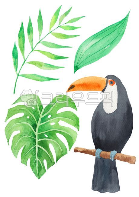 summer plants,palm,wild animals,palm tree,bird,drawing,season,drawn,Toco Toucan,handwork,hand drawing,png,tropical leaves,watercolor,monstera,plant,animal,palm leaves,tropical plants,Watercolor,object,Nukki,summer,plants,tocotucan,hand,wildlife,green,natu