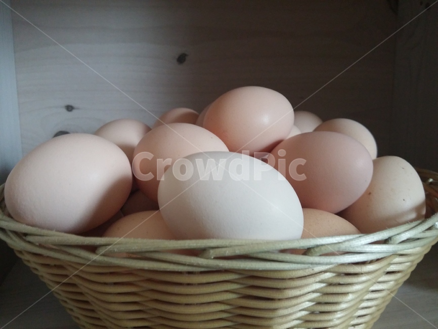 계란,달걀,닭알,계란바구니,food,egg,음식