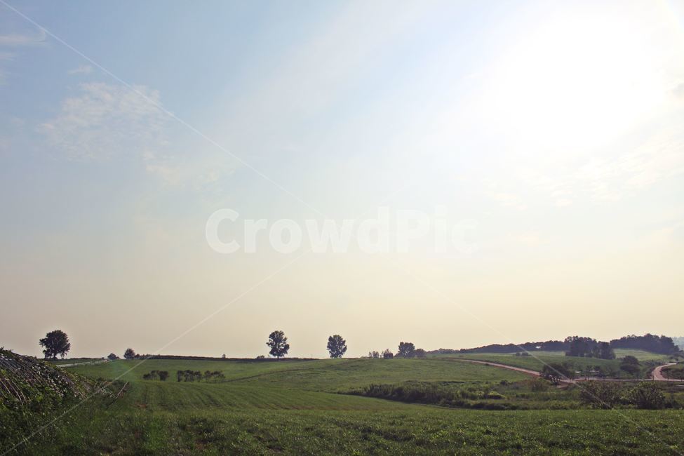 공원,빛,서울시,서울,초원,빛내림,한적한공원,자연,풍경,nature,landscape,outdoors,옥외