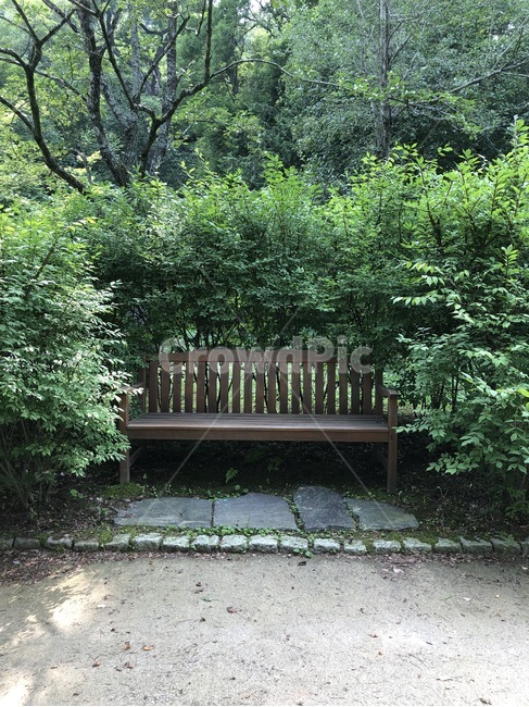 의자,나무,휴식,녹색,숲,산림,쉼터