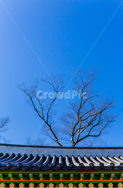 단청,패턴,기와,고궁,선,문화유산,한국전통,한국문화,korean traditional,korean culture,건축물,건물외관,exterior,building,structure,architecture,construction