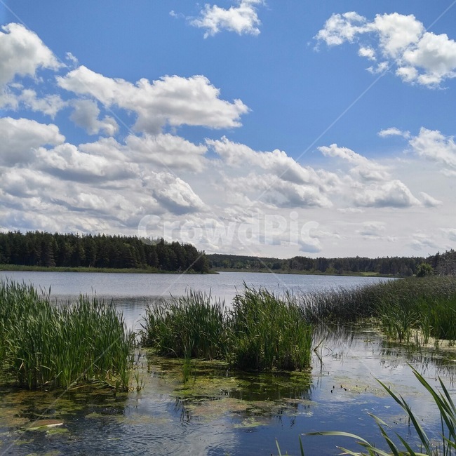 강,강가,구름,하늘,자연,river,riverside,sky,cloud,nature,자연,풍경,nature,landscape,water,물,outdoors,옥외,land,땅