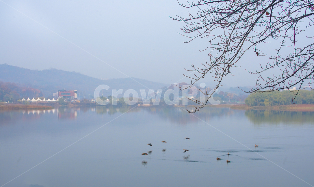 호수,가을,물안개,안개,단풍,계절,풍경,자연,풍경,nature,landscape,weather,날씨,outdoors,옥외,water,물,animal,동물,bird,새