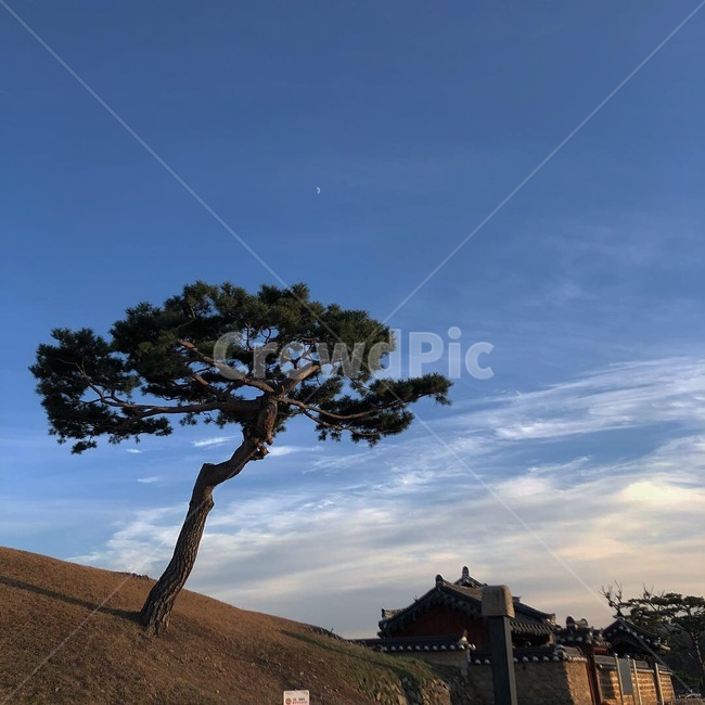 노을,하늘,구름,해,핑크빛하늘
